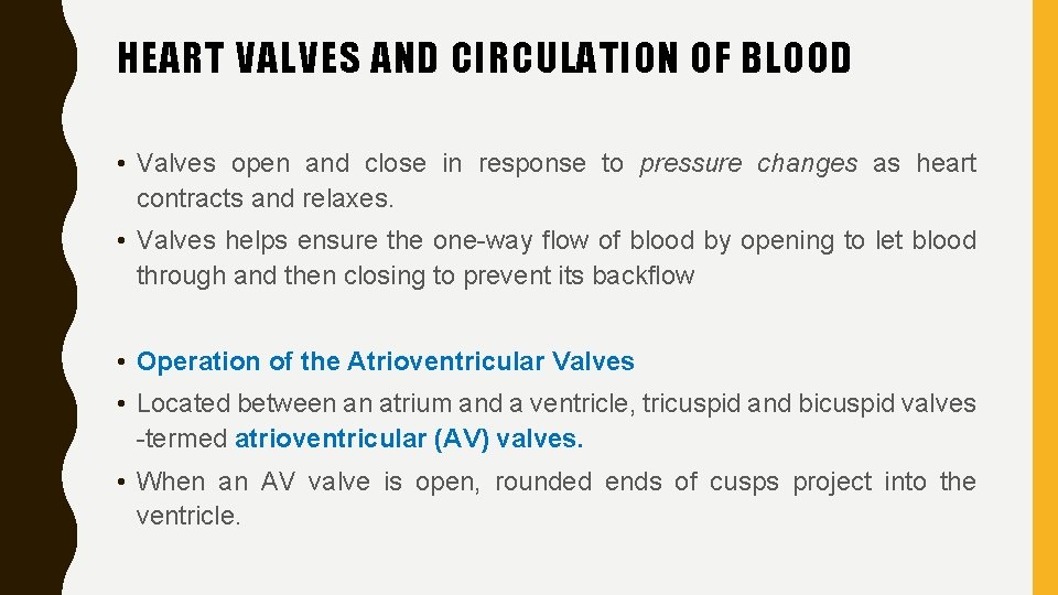 HEART VALVES AND CIRCULATION OF BLOOD • Valves open and close in response to