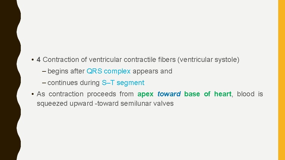  • 4 Contraction of ventricular contractile fibers (ventricular systole) – begins after QRS