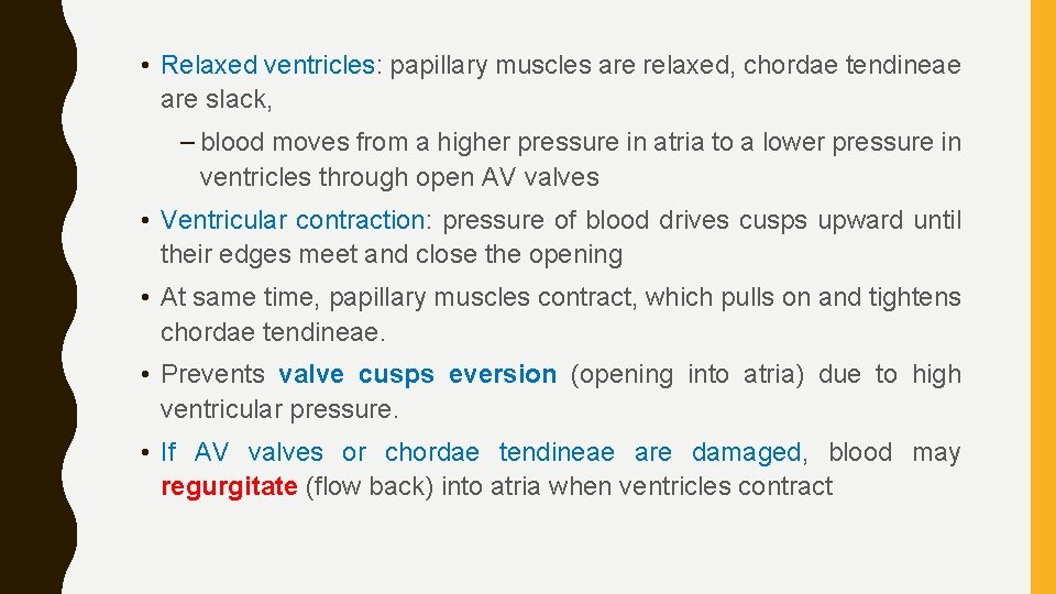  • Relaxed ventricles: papillary muscles are relaxed, chordae tendineae are slack, – blood