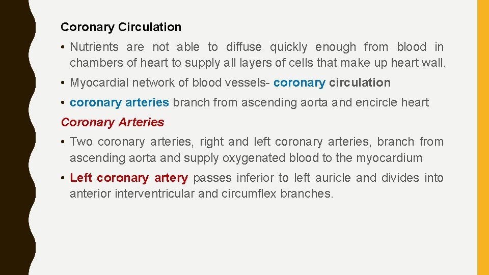 Coronary Circulation • Nutrients are not able to diffuse quickly enough from blood in