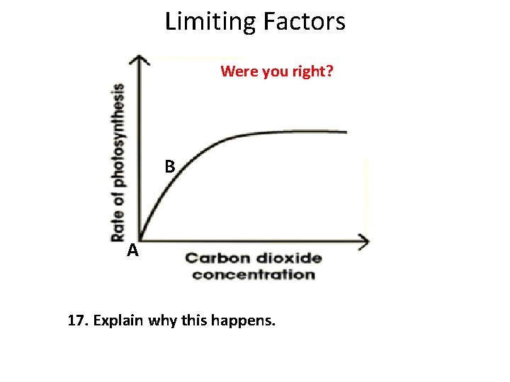 Limiting Factors Were you right? B A 17. Explain why this happens. 