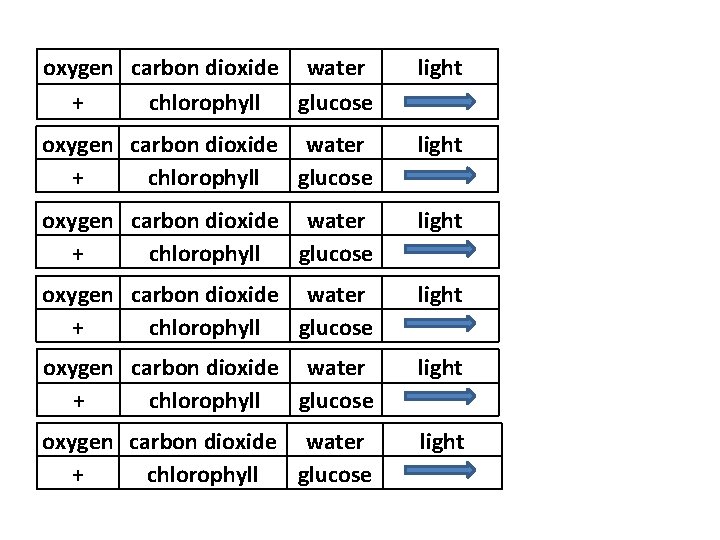 oxygen carbon dioxide water + chlorophyll glucose light oxygen carbon dioxide water + chlorophyll
