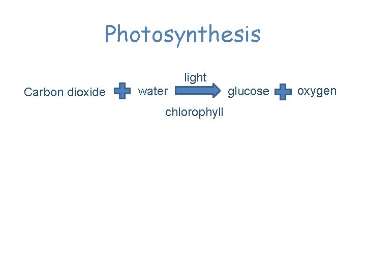 Photosynthesis light Carbon dioxide water chlorophyll glucose oxygen 