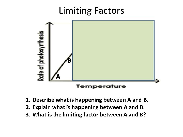 Limiting Factors B B B A 1. Describe what is happening between A and