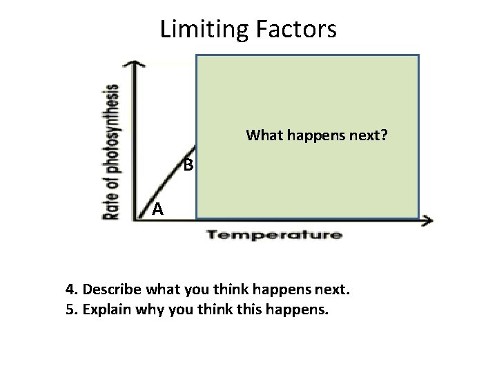 Limiting Factors B What happens next? B A 4. Describe what you think happens