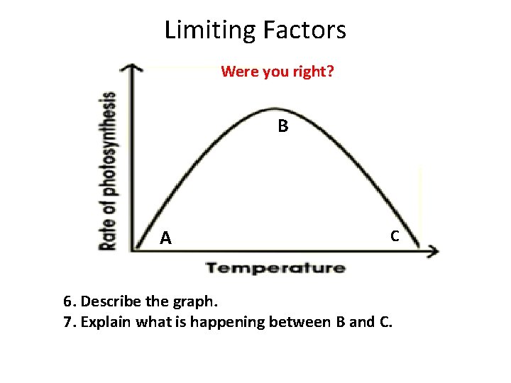 Limiting Factors Were you right? B A C 6. Describe the graph. 7. Explain