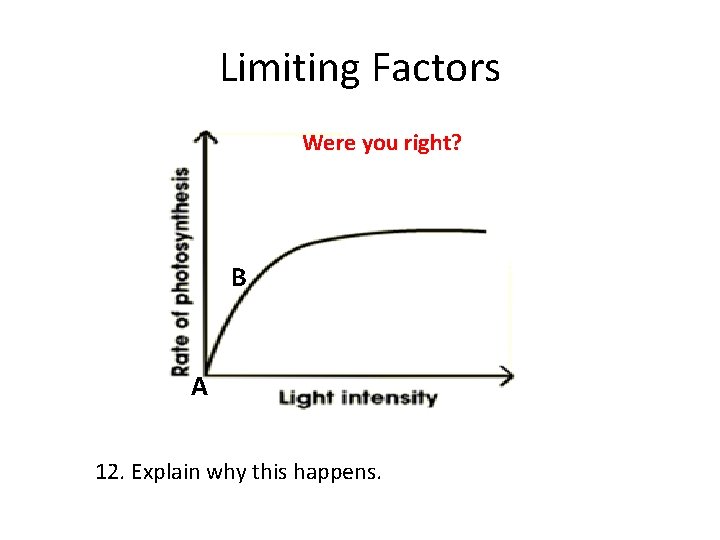 Limiting Factors Were you right? B A 12. Explain why this happens. 