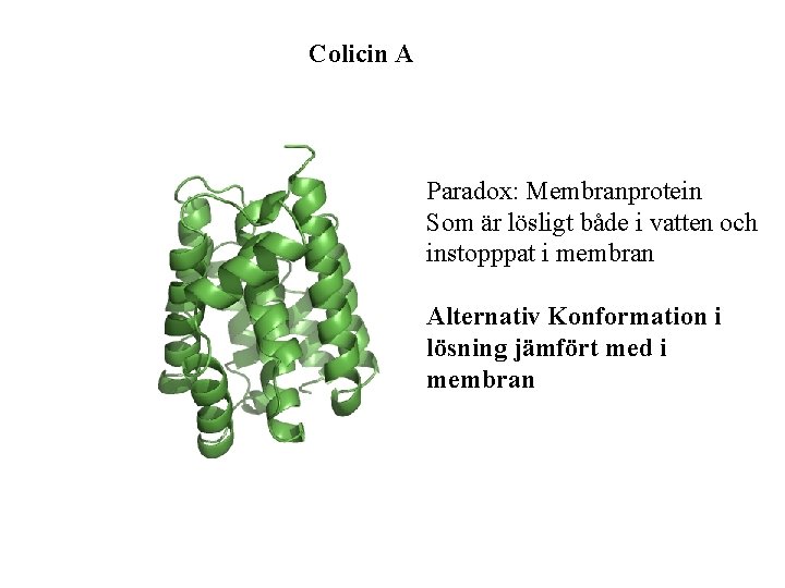 Colicin A Paradox: Membranprotein Som är lösligt både i vatten och instopppat i membran