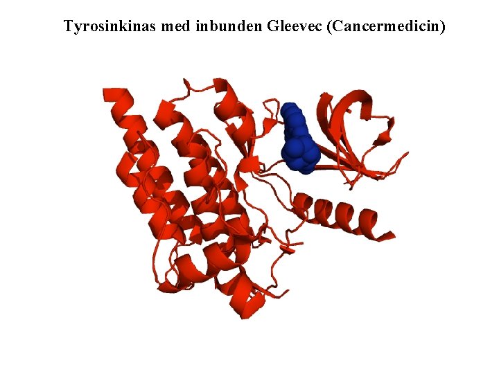 Tyrosinkinas med inbunden Gleevec (Cancermedicin) 
