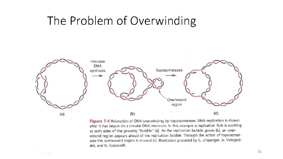 The Problem of Overwinding 20 