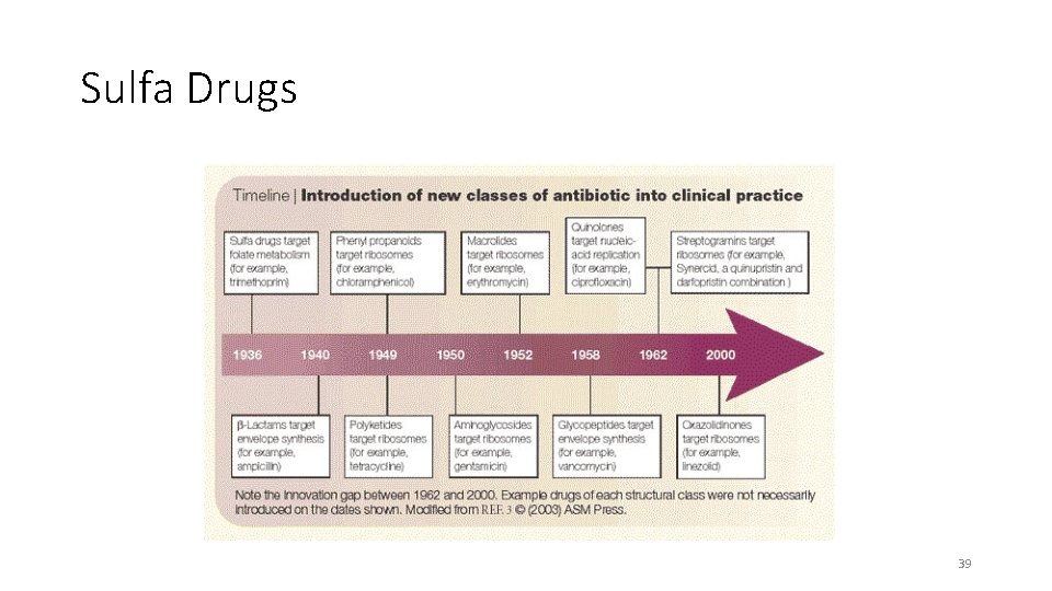 Sulfa Drugs 39 