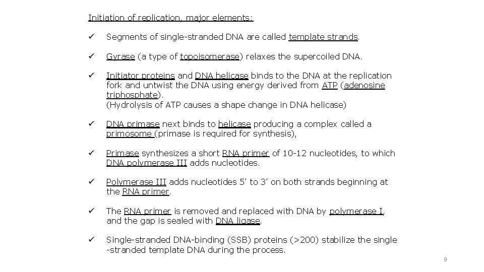 Initiation of replication, major elements: ü Segments of single-stranded DNA are called template strands.