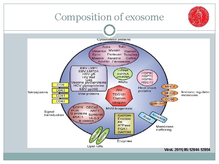 Composition of exosome Virol. 2011; 85: 12844 -12854 