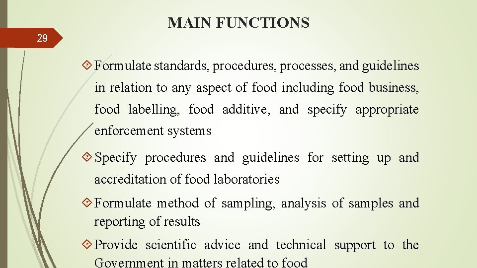 MAIN FUNCTIONS 29 Formulate standards, procedures, processes, and guidelines in relation to any aspect