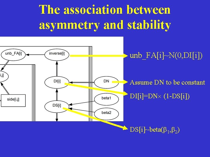 The association between asymmetry and stability unb_FA[i]~N(0, DI[i]) Assume DN to be constant DI[i]=DN