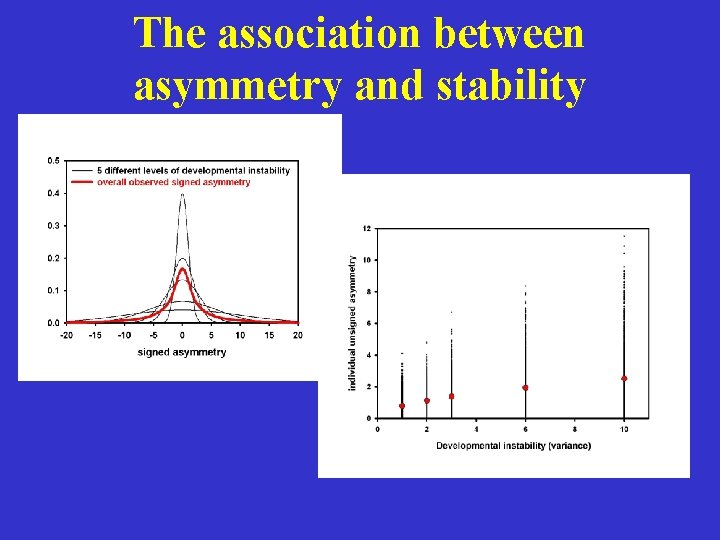 The association between asymmetry and stability 