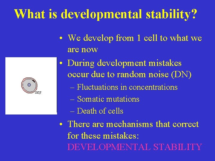 What is developmental stability? • We develop from 1 cell to what we are