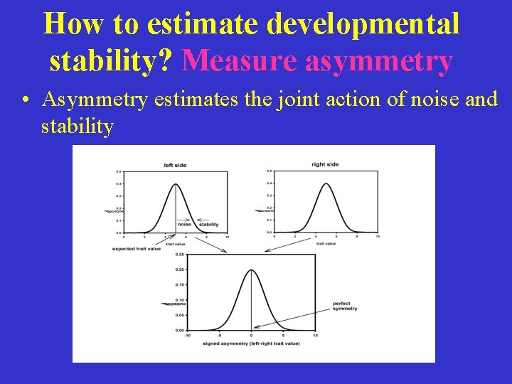 How to estimate developmental stability? Measure asymmetry • Asymmetry estimates the joint action of