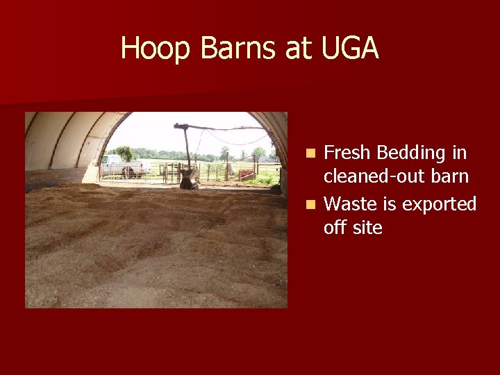 Hoop Barns at UGA Fresh Bedding in cleaned-out barn n Waste is exported off