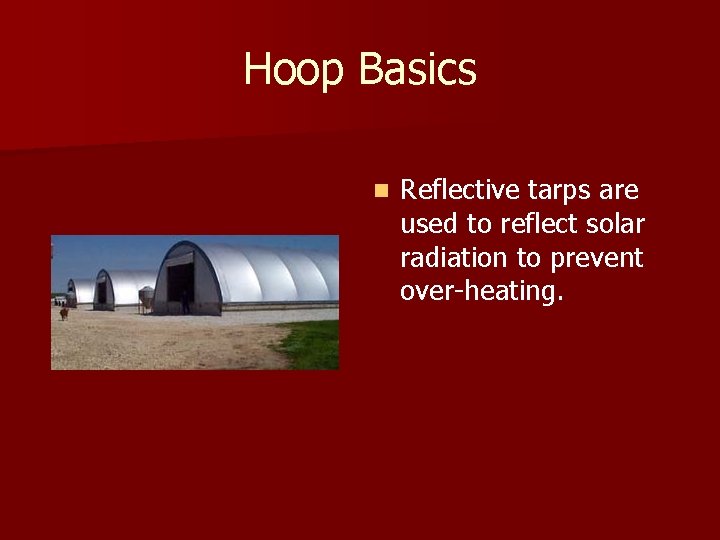 Hoop Basics n Reflective tarps are used to reflect solar radiation to prevent over-heating.