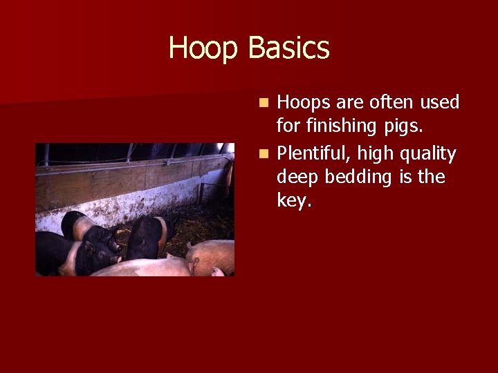 Hoop Basics Hoops are often used for finishing pigs. n Plentiful, high quality deep