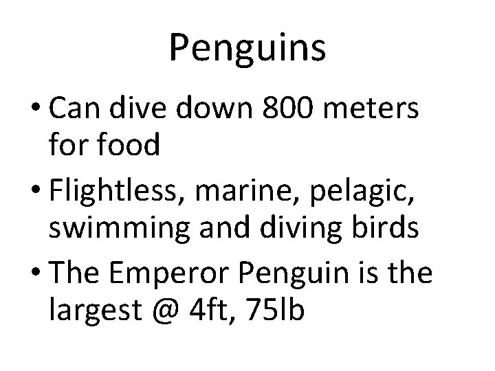 Penguins • Can dive down 800 meters for food • Flightless, marine, pelagic, swimming