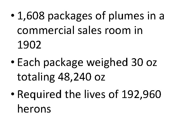  • 1, 608 packages of plumes in a commercial sales room in 1902