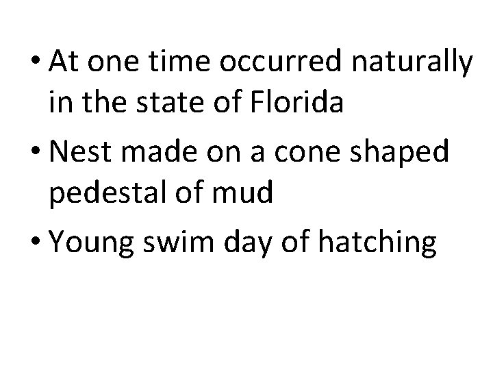  • At one time occurred naturally in the state of Florida • Nest