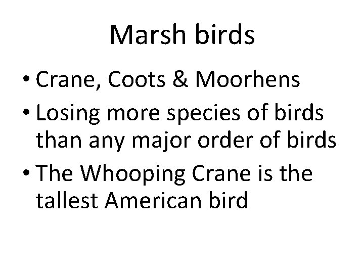 Marsh birds • Crane, Coots & Moorhens • Losing more species of birds than