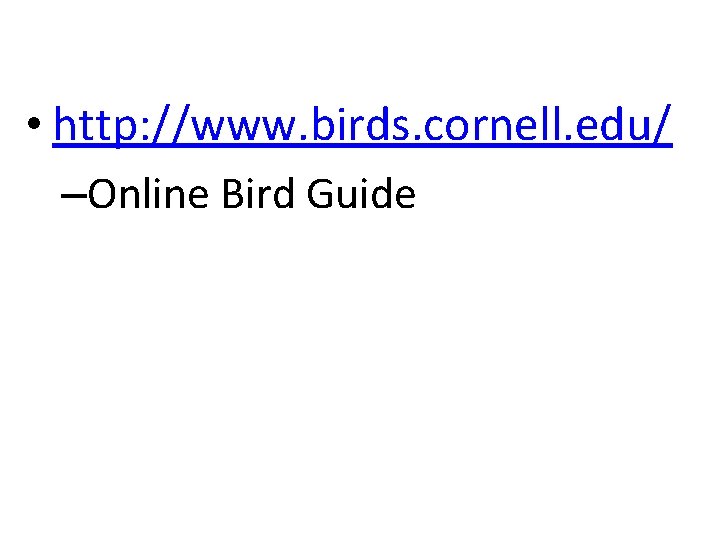  • http: //www. birds. cornell. edu/ –Online Bird Guide 