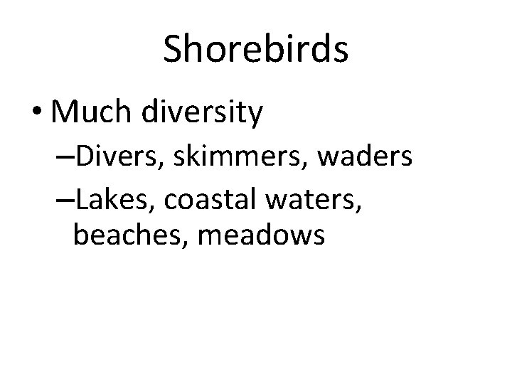 Shorebirds • Much diversity –Divers, skimmers, waders –Lakes, coastal waters, beaches, meadows 