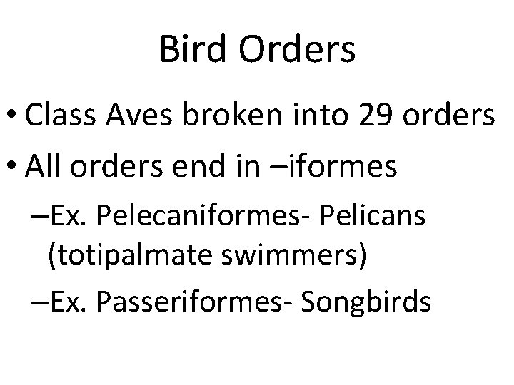 Bird Orders • Class Aves broken into 29 orders • All orders end in