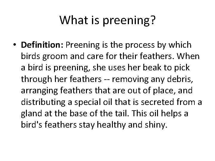 What is preening? • Definition: Preening is the process by which birds groom and