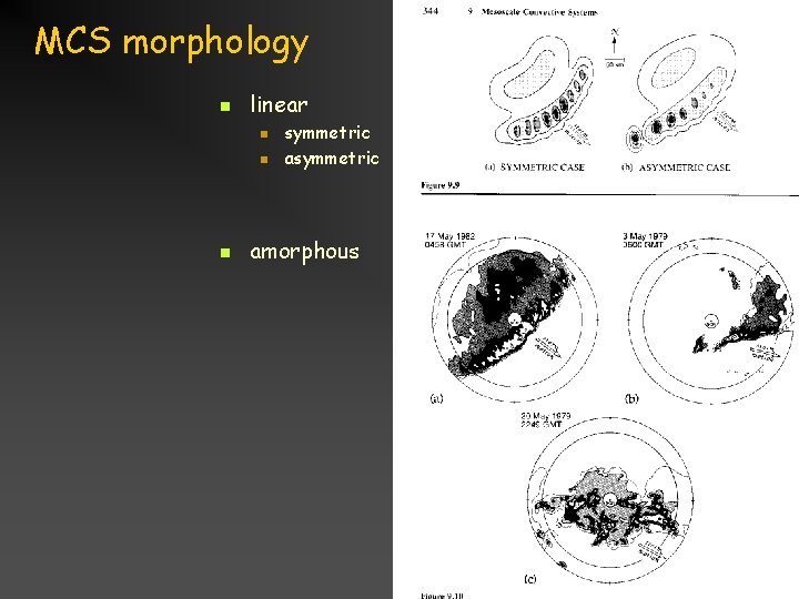 MCS morphology n linear n n n symmetric amorphous Title goes here for lesson