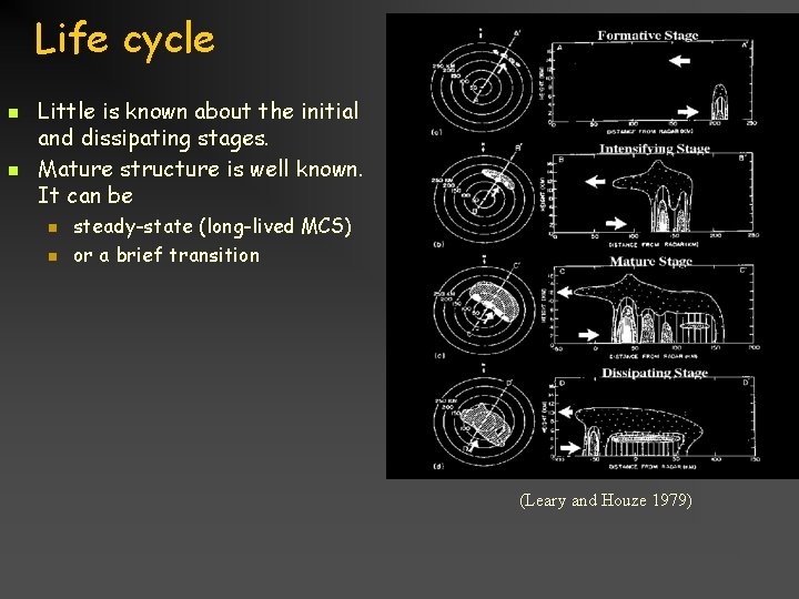 Life cycle n n Little is known about the initial and dissipating stages. Mature