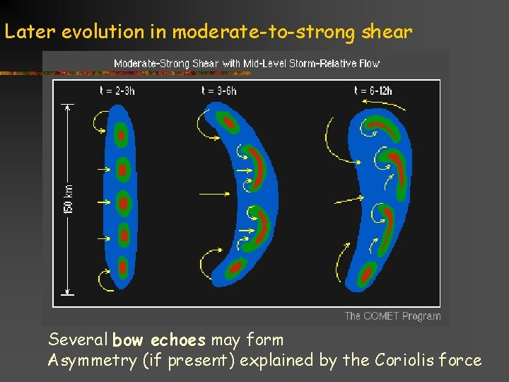 Later evolution in moderate-to-strong shear Several bow echoes may form Asymmetry (if present) explained