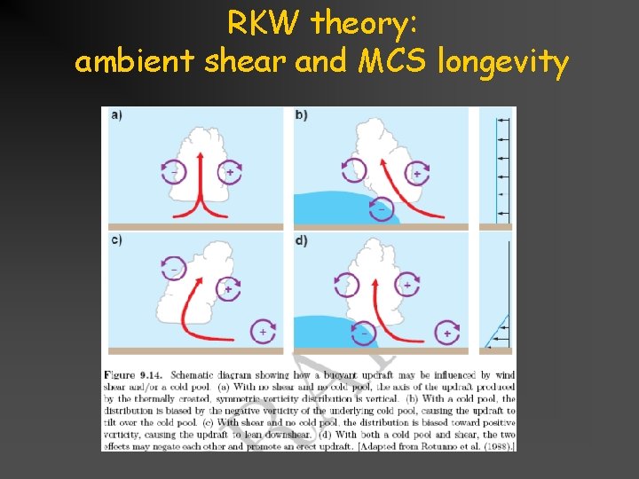 RKW theory: ambient shear and MCS longevity Title goes here for lesson February 2002