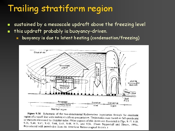 Trailing stratiform region n n sustained by a mesoscale updraft above the freezing level