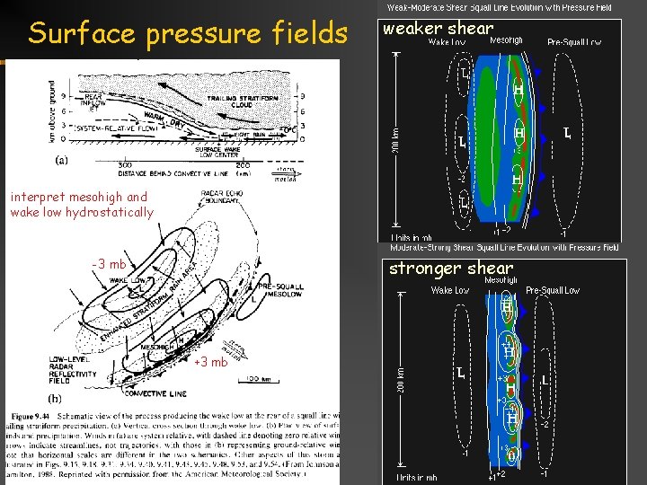 Surface pressure fields weaker shear interpret mesohigh and wake low hydrostatically stronger shear -3