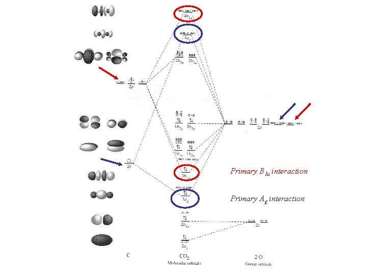 Primary B 1 u interaction Primary Ag interaction 