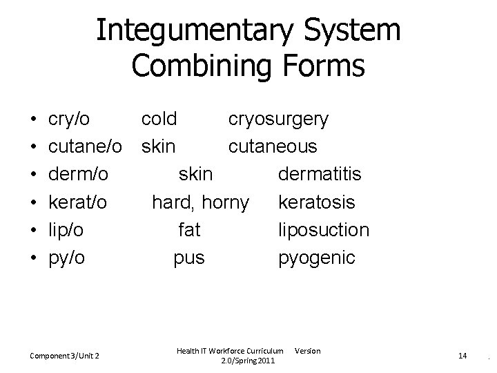 Integumentary System Combining Forms • • • cry/o cold cryosurgery cutane/o skin cutaneous derm/o