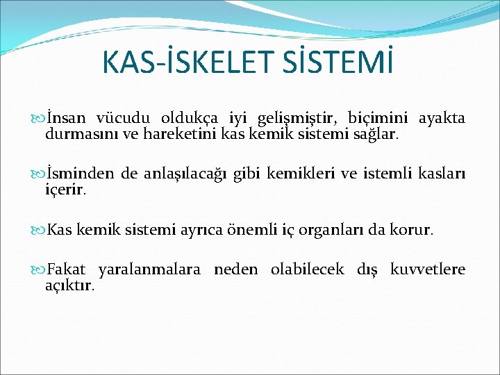 KAS-İSKELET SİSTEMİ İnsan vücudu oldukça iyi gelişmiştir, biçimini ayakta durmasını ve hareketini kas kemik