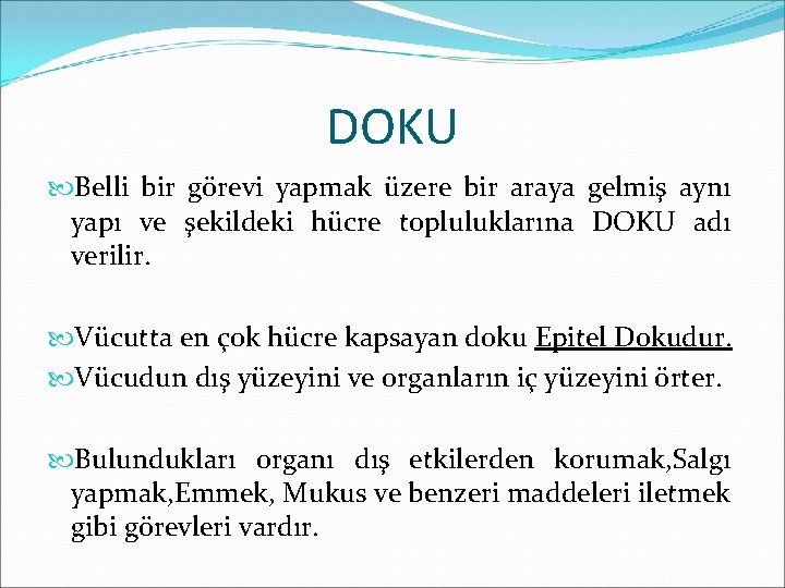 DOKU Belli bir görevi yapmak üzere bir araya gelmiş aynı yapı ve şekildeki hücre