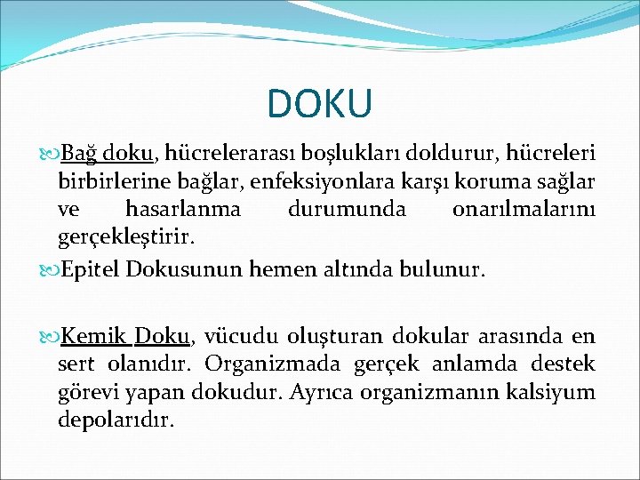 DOKU Bağ doku, hücrelerarası boşlukları doldurur, hücreleri birbirlerine bağlar, enfeksiyonlara karşı koruma sağlar ve