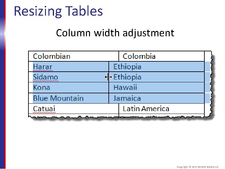 Resizing Tables Column width adjustment Copyright © 2015 30 Bird Media LLC 