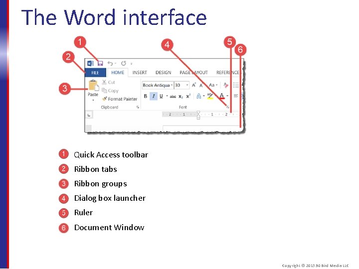 The Word interface Quick Access toolbar Ribbon tabs Ribbon groups Dialog box launcher Ruler