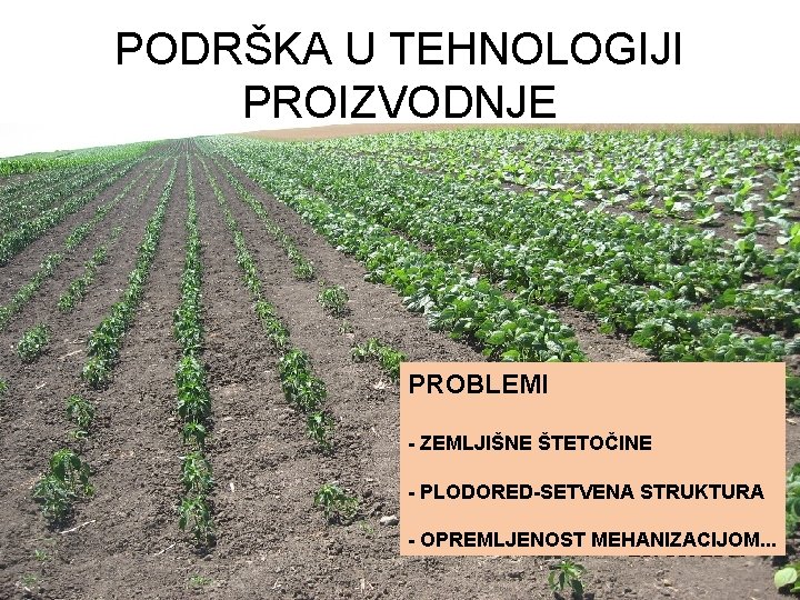 PODRŠKA U TEHNOLOGIJI PROIZVODNJE PROBLEMI - ZEMLJIŠNE ŠTETOČINE - PLODORED-SETVENA STRUKTURA - OPREMLJENOST MEHANIZACIJOM.