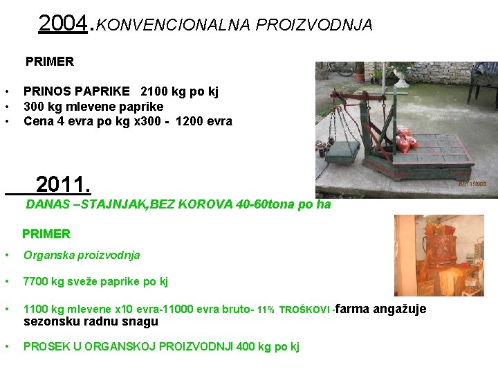 2004. KONVENCIONALNA PROIZVODNJA PRIMER • • • PRINOS PAPRIKE 2100 kg po kj 300