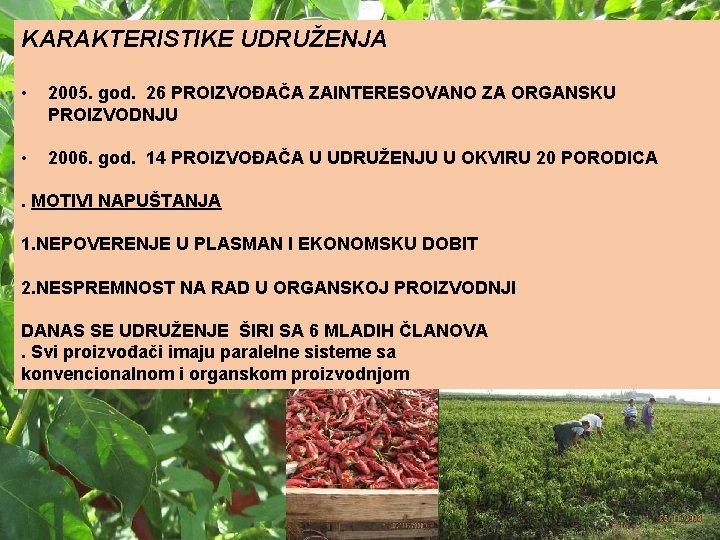 KARAKTERISTIKE UDRUŽENJA • 2005. god. 26 PROIZVOĐAČA ZAINTERESOVANO ZA ORGANSKU PROIZVODNJU • 2006. god.