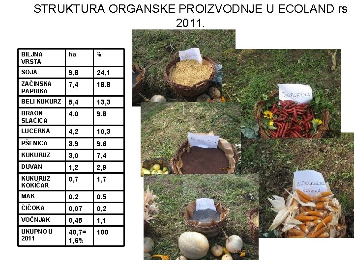 STRUKTURA ORGANSKE PROIZVODNJE U ECOLAND rs 2011. BILJNA VRSTA ha % SOJA 9, 8